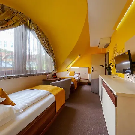 Hotel Mayer 3*