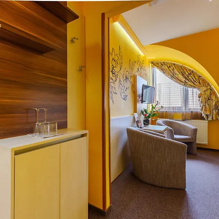 Hotel Mayer 3*