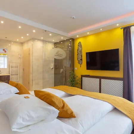 Hotel Mayer 3*