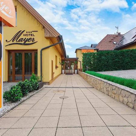 Hotel Mayer 3*