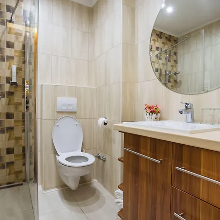 Mayer 3*